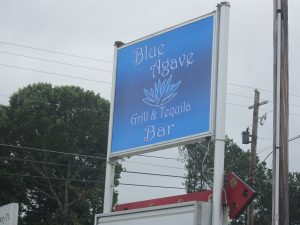 Blue Agave in Carrollton